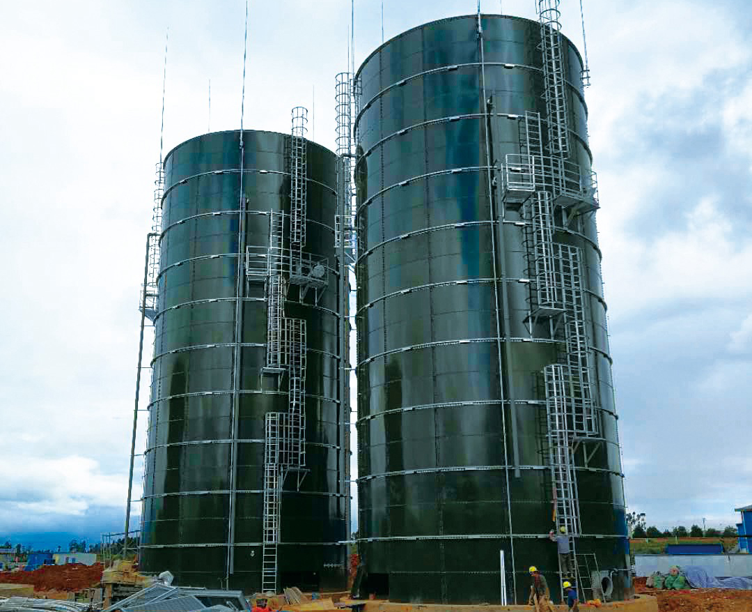 RAL 6003 Olive Green