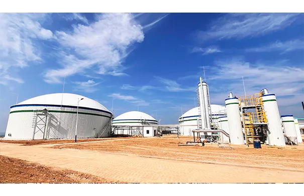 Shunhua County, Xianyang, Shanxi,China | Manure Treatment Project for 10,000-Cattle Farm